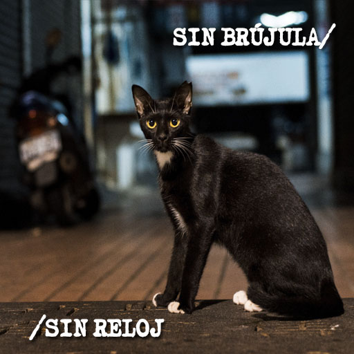 <a href="https://davidlittlemusic.com/discografia/sin-brujula-sin-reloj-single/">Sin brújula / Sin reloj</a>